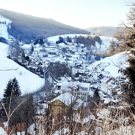 Apartmenthaus Am Waldrand- Kueche - Fruehstueck - Balkon شقة