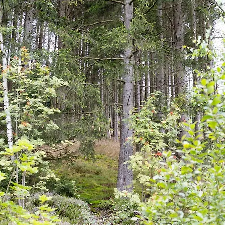 Apartmenthaus Am Waldrand- Kueche - Fruehstueck - Balkon * Wildemann