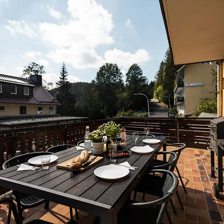 Apartmenthaus Am Waldrand- Kueche - Fruehstueck - Balkon * Wildemann