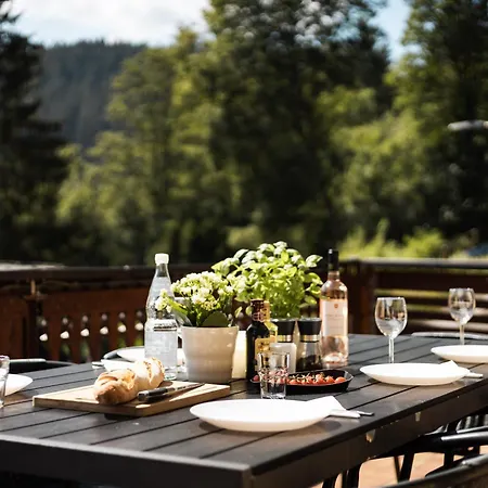 Apartmenthaus Am Waldrand- Kueche - Fruehstueck - Balkon * Wildemann